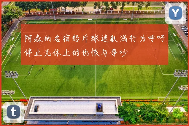 阿森纳名宿怒斥球迷肤浅行为呼吁停止无休止的仇恨与争吵