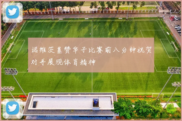 诺维茨基赞华子比赛前八分钟祝贺对手展现体育精神