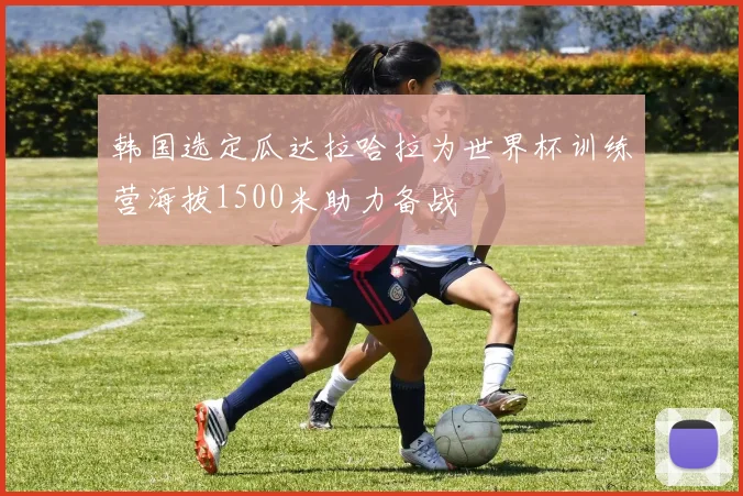 韩国选定瓜达拉哈拉为世界杯训练营海拔1500米助力备战